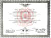 Enlisted Air Warfare Specialist Certificate