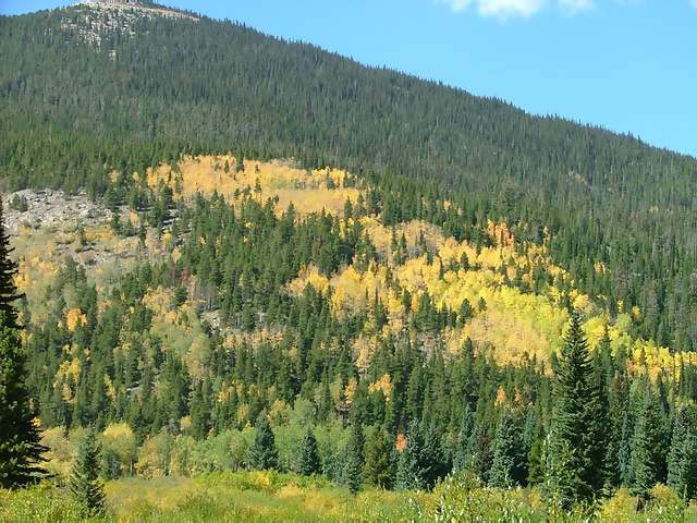 Autumn-in-Colorado-2007-010