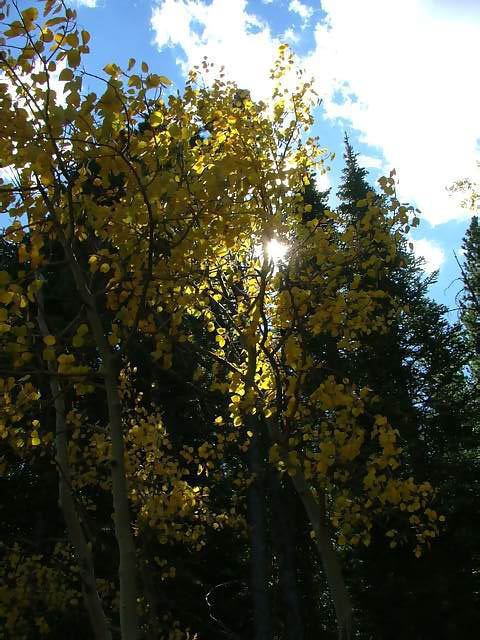 Autumn-in-Colorado-2007-019