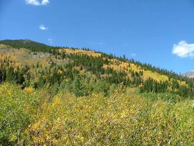 Autumn-in-Colorado-2007-021