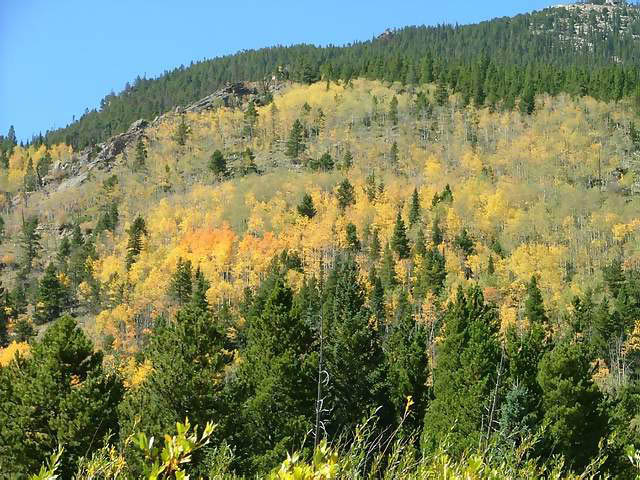 Autumn-in-Colorado-2007-023