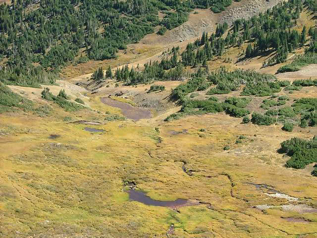 Autumn-in-Colorado-2007-030