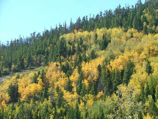 Autumn-in-Colorado-2007-044