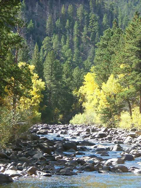Autumn-in-Colorado-2007-090