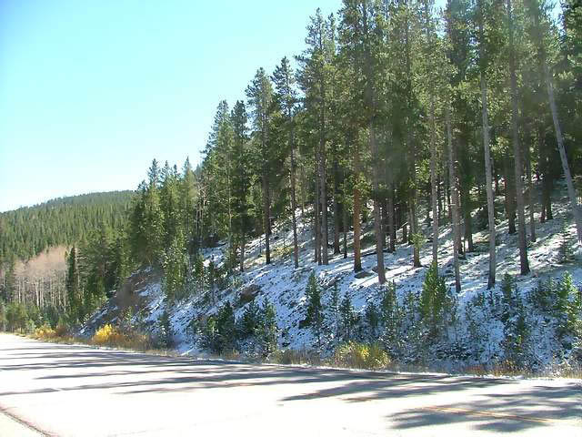 Autumn-in-Colorado-2007-118