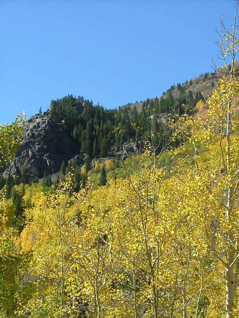 Autumn-in-Colorado-2007-131