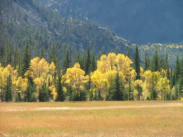 Autumn-in-Colorado-2007-134