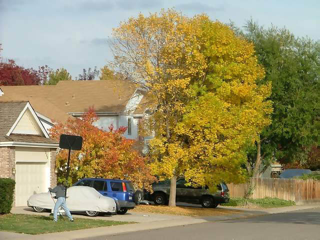 Autumn-in-Colorado-2007-135