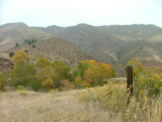 Autumn-in-Colorado-2007-141