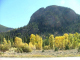 Autumn-in-Colorado-2007-107
