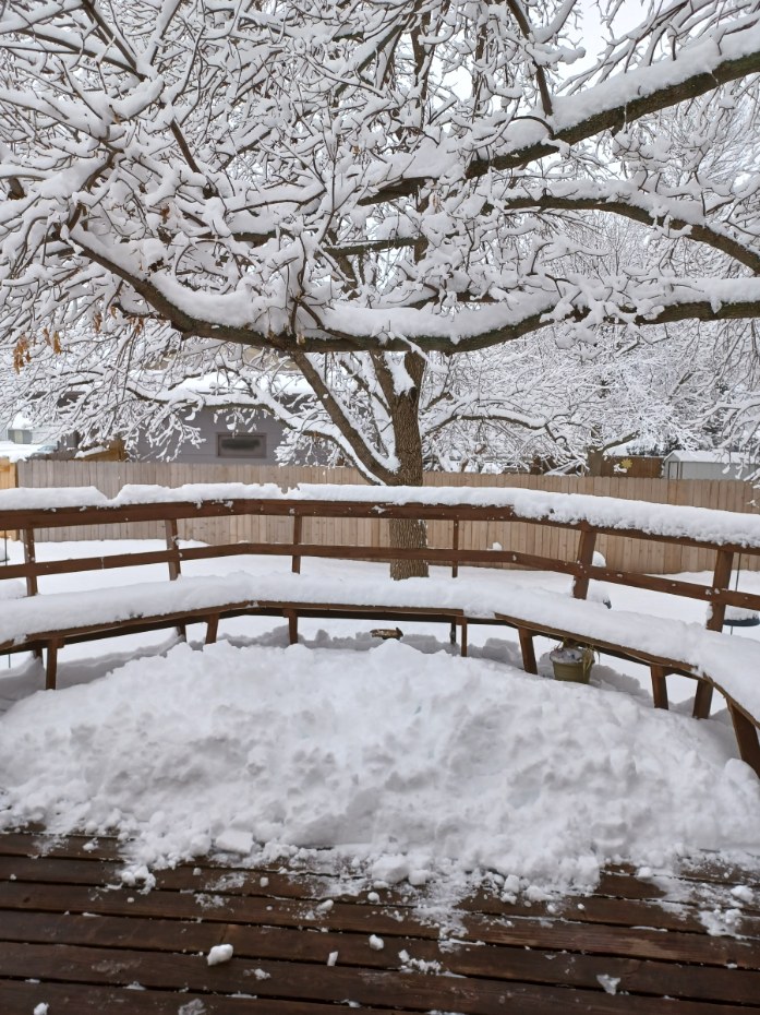 Mary Jo Wegner Arboretum